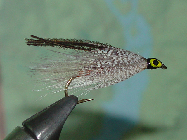 Gray Ghost Streamer - Size 6 - North Country Angler Fly Shop - North  Conway, New Hampshire Fly Fishing Store